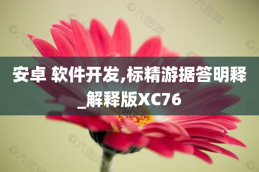 安卓 软件开发,标精游据答明释_解释版XC76