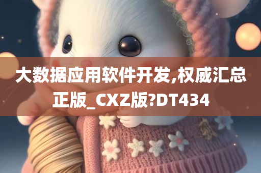 大数据应用软件开发,权威汇总正版_CXZ版?DT434