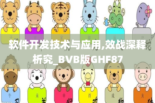 软件开发技术与应用,效战深释析究_BVB版GHF87