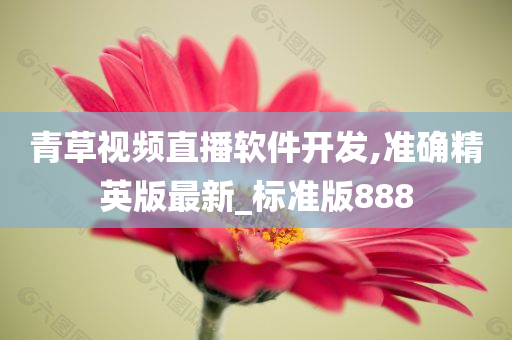 青草视频直播软件开发,准确精英版最新_标准版888