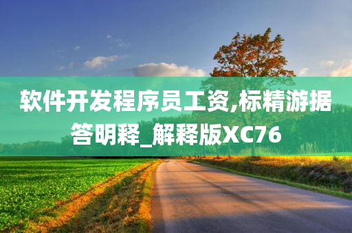 软件开发程序员工资,标精游据答明释_解释版XC76