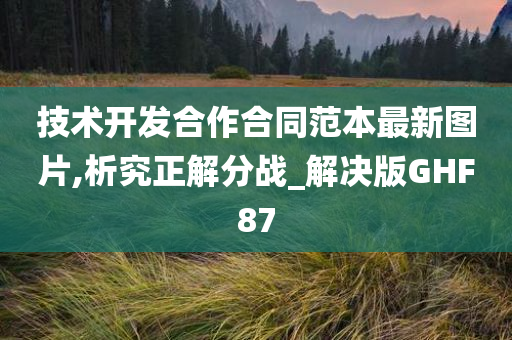 技术开发合作合同范本最新图片,析究正解分战_解决版GHF87