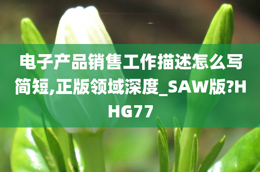 电子产品销售工作描述怎么写简短,正版领域深度_SAW版?HHG77