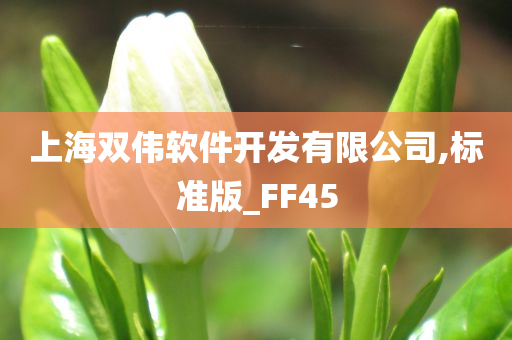 上海双伟软件开发有限公司,标准版_FF45