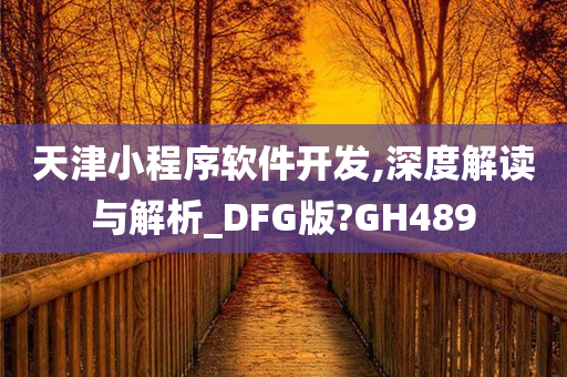 天津小程序软件开发,深度解读与解析_DFG版?GH489