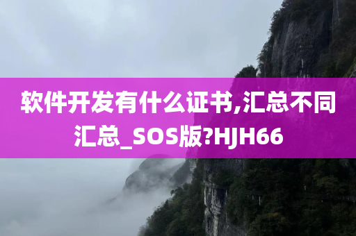 软件开发有什么证书,汇总不同汇总_SOS版?HJH66