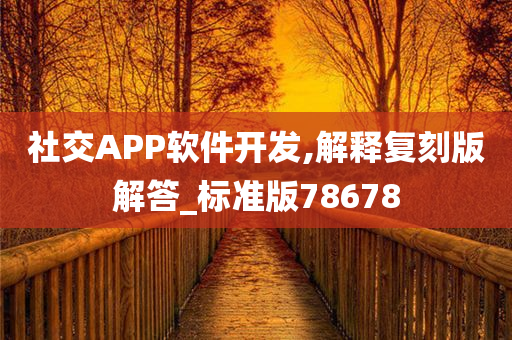 社交APP软件开发,解释复刻版解答_标准版78678