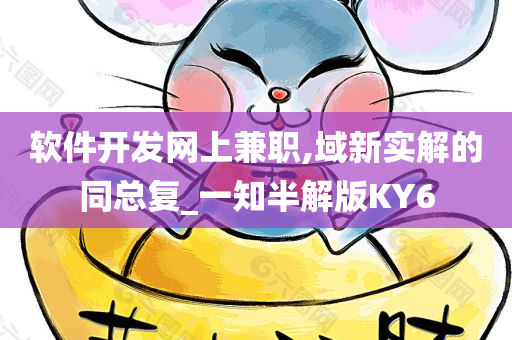 软件开发网上兼职,域新实解的同总复_一知半解版KY6