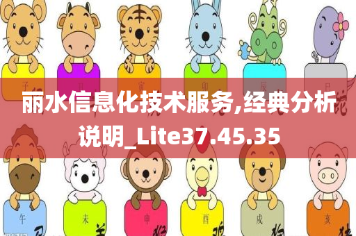 丽水信息化技术服务,经典分析说明_Lite37.45.35