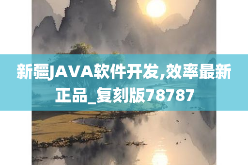 新疆JAVA软件开发,效率最新正品_复刻版78787