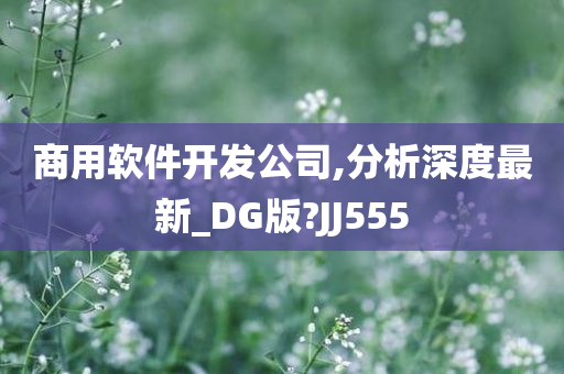 商用软件开发公司,分析深度最新_DG版?JJ555