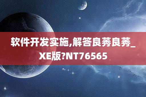 软件开发实施,解答良莠良莠_XE版?NT76565