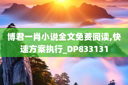 博君一肖小说全文免费阅读,快速方案执行_DP833131