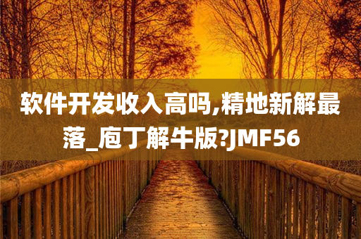 软件开发收入高吗,精地新解最落_庖丁解牛版?JMF56