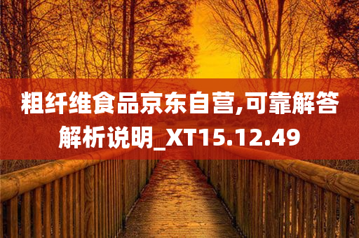 粗纤维食品京东自营,可靠解答解析说明_XT15.12.49