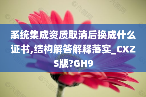 系统集成资质取消后换成什么证书,结构解答解释落实_CXZS版?GH9