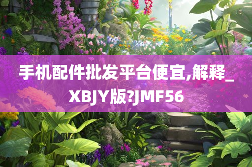 手机配件批发平台便宜,解释_XBJY版?JMF56