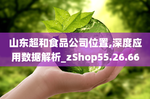 山东超和食品公司位置,深度应用数据解析_zShop55.26.66