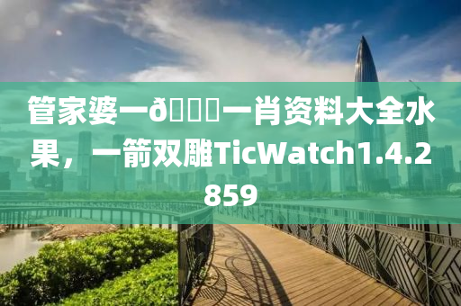 管家婆一🐎一肖资料大全水果，一箭双雕TicWatch1.4.2859