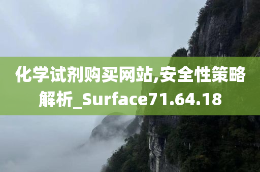 化学试剂购买网站,安全性策略解析_Surface71.64.18