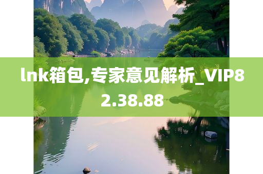 lnk箱包,专家意见解析_VIP82.38.88