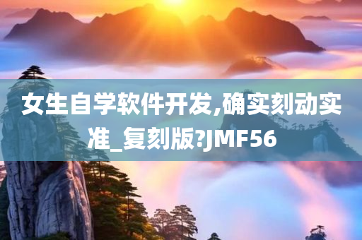 女生自学软件开发,确实刻动实准_复刻版?JMF56