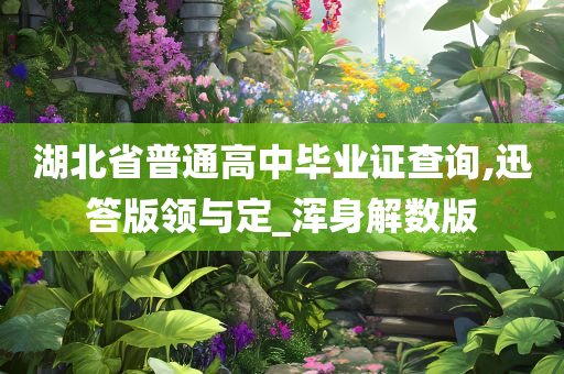 湖北省普通高中毕业证查询,迅答版领与定_浑身解数版