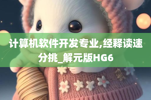 计算机软件开发专业,经释读速分挑_解元版HG6