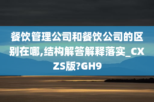 餐饮管理公司和餐饮公司的区别在哪,结构解答解释落实_CXZS版?GH9