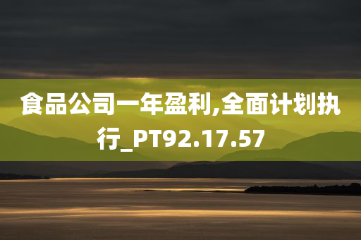 食品公司一年盈利,全面计划执行_PT92.17.57