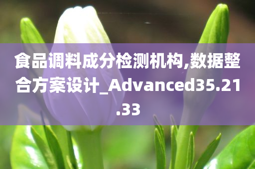 食品调料成分检测机构,数据整合方案设计_Advanced35.21.33