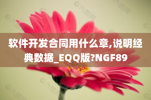 软件开发合同用什么章,说明经典数据_EQQ版?NGF89