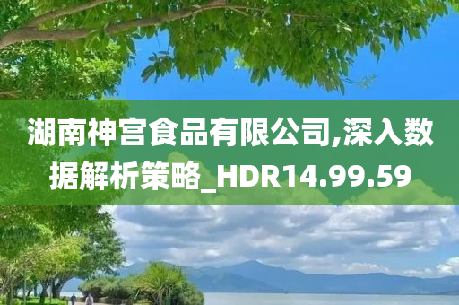 湖南神宫食品有限公司,深入数据解析策略_HDR14.99.59