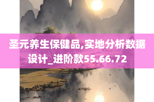 圣元养生保健品,实地分析数据设计_进阶款55.66.72