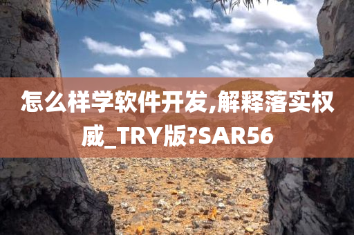 怎么样学软件开发,解释落实权威_TRY版?SAR56