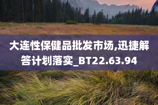 大连性保健品批发市场,迅捷解答计划落实_BT22.63.94