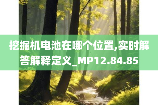 挖掘机电池在哪个位置,实时解答解释定义_MP12.84.85