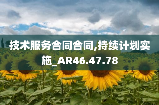 技术服务合同合同,持续计划实施_AR46.47.78