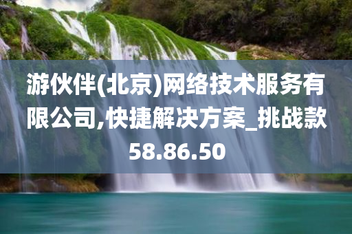 游伙伴(北京)网络技术服务有限公司,快捷解决方案_挑战款58.86.50