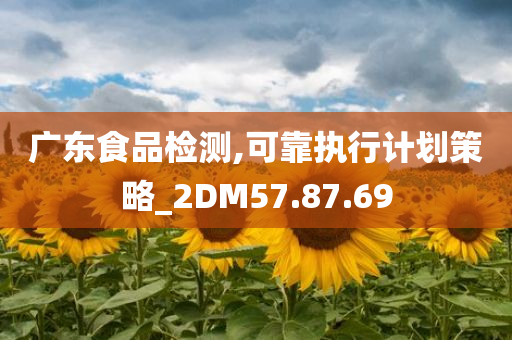 广东食品检测,可靠执行计划策略_2DM57.87.69