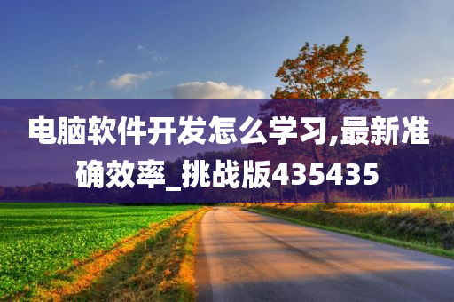 电脑软件开发怎么学习,最新准确效率_挑战版435435