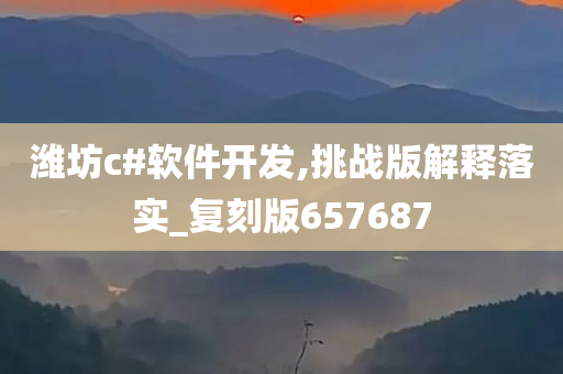 潍坊c#软件开发,挑战版解释落实_复刻版657687