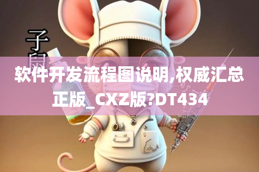 软件开发流程图说明,权威汇总正版_CXZ版?DT434