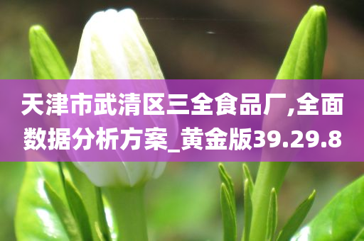 天津市武清区三全食品厂,全面数据分析方案_黄金版39.29.80