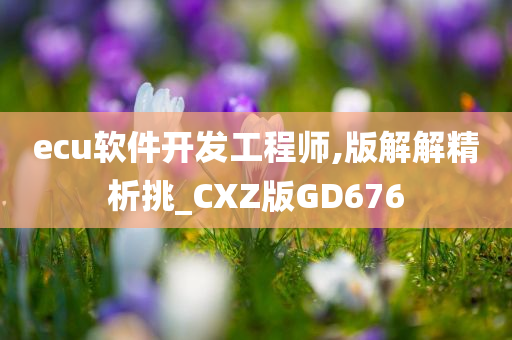 ecu软件开发工程师,版解解精析挑_CXZ版GD676