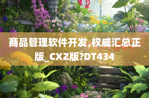 商品管理软件开发,权威汇总正版_CXZ版?DT434