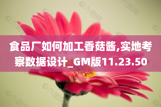 食品厂如何加工香菇酱,实地考察数据设计_GM版11.23.50