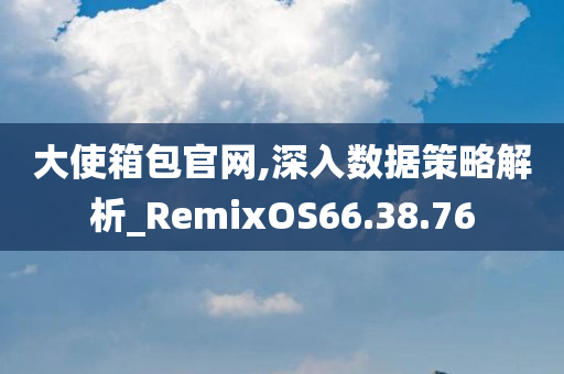 大使箱包官网,深入数据策略解析_RemixOS66.38.76