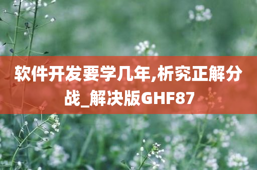 软件开发要学几年,析究正解分战_解决版GHF87