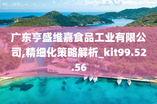 广东亨盛维嘉食品工业有限公司,精细化策略解析_kit99.52.56